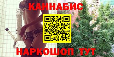спиды Гай