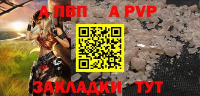 спиды Гай