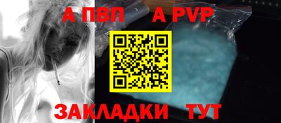 спиды Гай