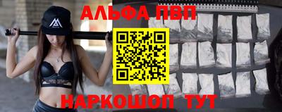 спиды Гай