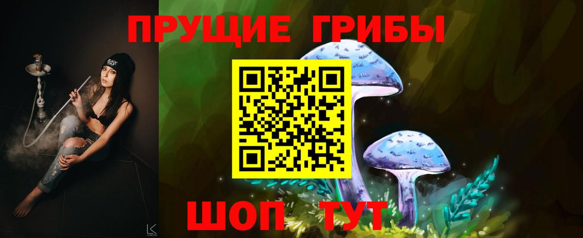 Галлюциногенные грибы Psilocybine cubensis  Галлюциногенные грибы мицелий  купить наркоту  Вход с VPN  Волхов 